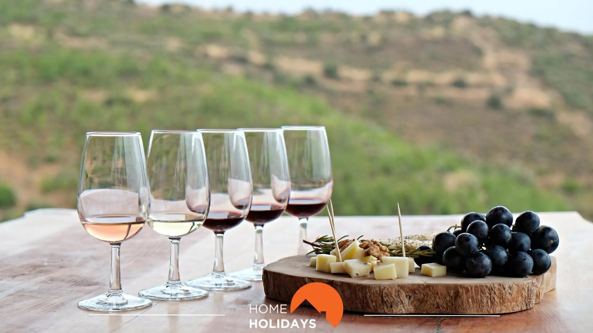 Apartment #223 Rural Holiday Home Tranquility In Algarve Paderne  Portugal